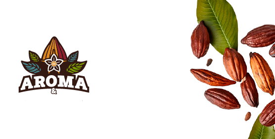 Servicios